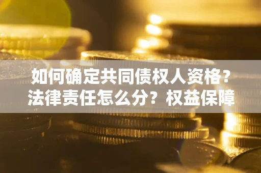 北京如何确定共同债权人资格？法律责任怎么分？权益保障技巧揭秘！