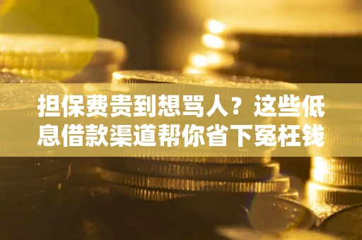 北京担保费贵到想骂人？这些低息借款渠道帮你省下冤枉钱