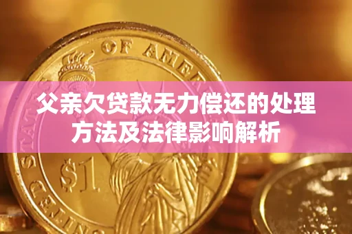 北京父亲欠贷款无力偿还的处理方法及法律影响解析